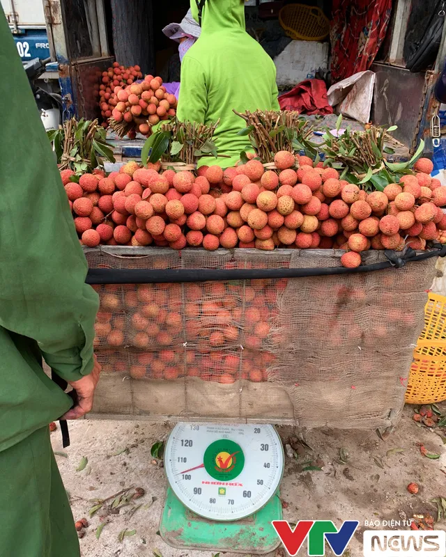 Đỏ rực “vương quốc” vải thiều những ngày tháng 6… - Ảnh 7. Đỏ rực “vương quốc” vải thiều những ngày tháng 6… - Ảnh 7.