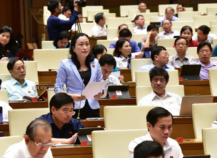 Sửa luật để bảo vệ môi trường nghiêm ngặt hơn - Ảnh 1. Sửa luật để bảo vệ môi trường nghiêm ngặt hơn - Ảnh 1.
