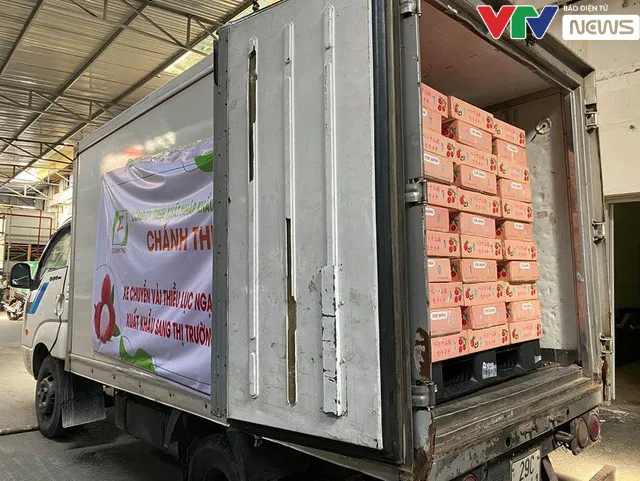 Vải thiều Việt xuất đi Nhật Bản bán giá bao nhiêu? - Ảnh 3. Vải thiều Việt xuất đi Nhật Bản bán giá bao nhiêu? - Ảnh 3.
