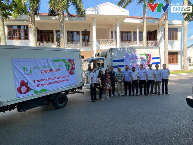Vải thiều Việt xuất đi Nhật Bản bán giá bao nhiêu? - Ảnh 1. Vải thiều Việt xuất đi Nhật Bản bán giá bao nhiêu? - Ảnh 1.