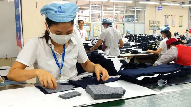 Gần 31 triệu người mất việc, giãn việc, giảm thu nhập vì COVID-19 - Ảnh 2. Gần 31 triệu người mất việc, giãn việc, giảm thu nhập vì COVID-19 - Ảnh 2.