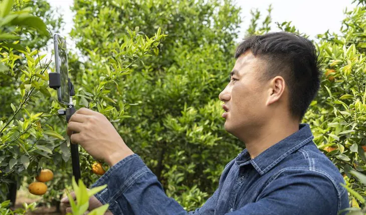 Nông dân Trung Quốc “ăn nên làm ra” nhờ bán nông sản trực tuyến - Ảnh 2. Nông dân Trung Quốc “ăn nên làm ra” nhờ bán nông sản trực tuyến - Ảnh 2.