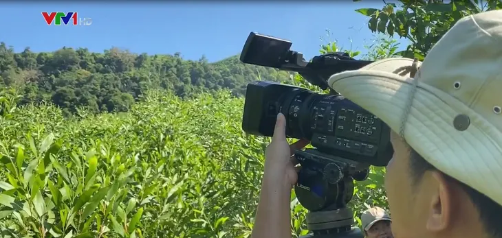 Khi phóng viên VTV tác nghiệp ở rừng già - Ảnh 1. Khi phóng viên VTV tác nghiệp ở rừng già - Ảnh 1.