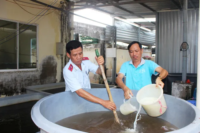 Bạc Liêu: Lần đầu tiêu hủy 574.000 con tôm giống không qua kiểm dịch - Ảnh 1. Bạc Liêu: Lần đầu tiêu hủy 574.000 con tôm giống không qua kiểm dịch - Ảnh 1.