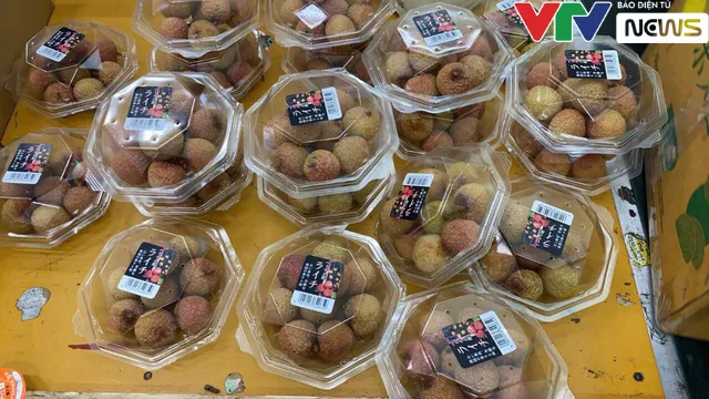 Gần 12.000 đồng cho 1 quả vải thiều Việt tại Nhật - Ảnh 2. Gần 12.000 đồng cho 1 quả vải thiều Việt tại Nhật - Ảnh 2.