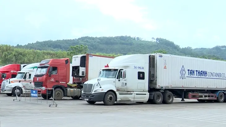 Vải thiều được “ưu ái” đặc biệt tại cửa khẩu Lào Cai - Ảnh 2. Vải thiều được “ưu ái” đặc biệt tại cửa khẩu Lào Cai - Ảnh 2.