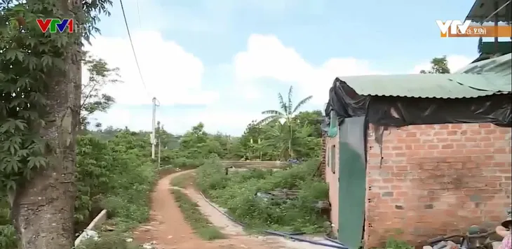 Người dân kêu trời vì trang trại chăn nuôi gây ô nhiễm - Ảnh 1. Người dân kêu trời vì trang trại chăn nuôi gây ô nhiễm - Ảnh 1.