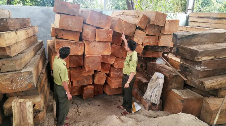 Bắt khẩn cấp 7 đối tượng liên quan đến vụ phá rừng tại Gia Lai - Ảnh 1. Bắt khẩn cấp 7 đối tượng liên quan đến vụ phá rừng tại Gia Lai - Ảnh 1.