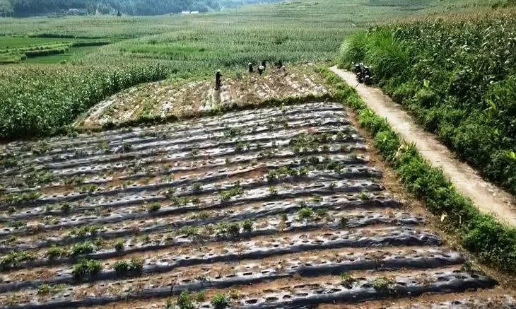 Giúp dân thoát nghèo - Một trong những vấn đề lớn của Đại hội Đảng bộ cơ sở - Ảnh 1. Giúp dân thoát nghèo - Một trong những vấn đề lớn của Đại hội Đảng bộ cơ sở - Ảnh 1.