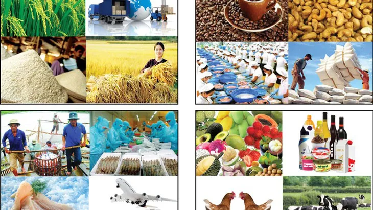 Bộ Công Thương cảnh báo về xuất khẩu nông sản sang Trung Quốc - Ảnh 1. Bộ Công Thương cảnh báo về xuất khẩu nông sản sang Trung Quốc - Ảnh 1.