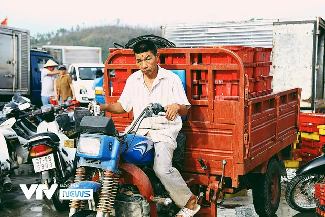 Bến cá Nghi Thủy nhộn nhịp lúc bình minh - Ảnh 6. Bến cá Nghi Thủy nhộn nhịp lúc bình minh - Ảnh 6.