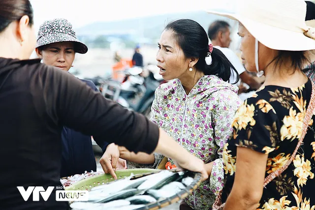 Bến cá Nghi Thủy nhộn nhịp lúc bình minh - Ảnh 7. Bến cá Nghi Thủy nhộn nhịp lúc bình minh - Ảnh 7.