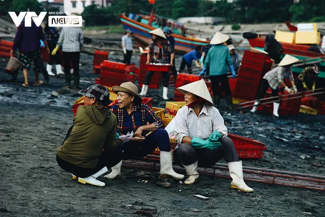 Bến cá Nghi Thủy nhộn nhịp lúc bình minh - Ảnh 8. Bến cá Nghi Thủy nhộn nhịp lúc bình minh - Ảnh 8.