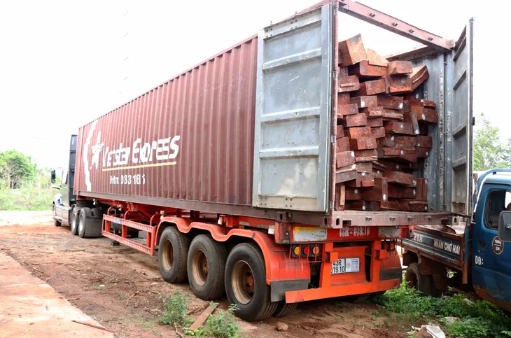 Phát hiện vụ vận chuyển, tàng trữ gỗ trái phép quy mô lớn ở Gia Lai - Ảnh 1.