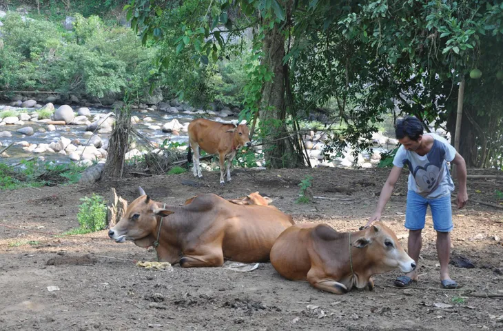 Khi Đảng viên hỗ trợ “cần câu”, tư vấn cách “câu cá” cho hộ nghèo - Ảnh 1. Khi Đảng viên hỗ trợ “cần câu”, tư vấn cách “câu cá” cho hộ nghèo - Ảnh 1.