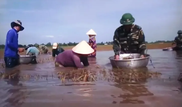 Bộ đội Biên phòng: Điểm tựa tin cậy của người dân vùng biên - Ảnh 1. Bộ đội Biên phòng: Điểm tựa tin cậy của người dân vùng biên - Ảnh 1.