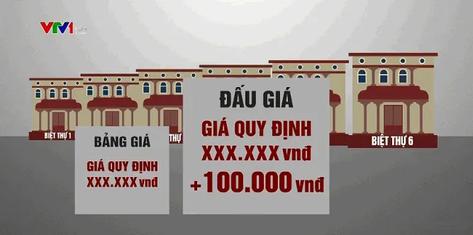 Tùy tiện bán đấu giá tài sản: Trục lợi kiểu vừa đá bóng vừa thổi còi - Ảnh 2. Tùy tiện bán đấu giá tài sản: Trục lợi kiểu vừa đá bóng vừa thổi còi - Ảnh 2.