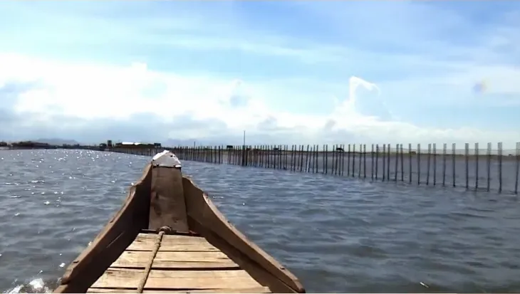 Bảo tồn thiên nhiên hệ đầm phá đất ngập nước Tam Giang - Cầu Hai - Ảnh 2. Bảo tồn thiên nhiên hệ đầm phá đất ngập nước Tam Giang - Cầu Hai - Ảnh 2.