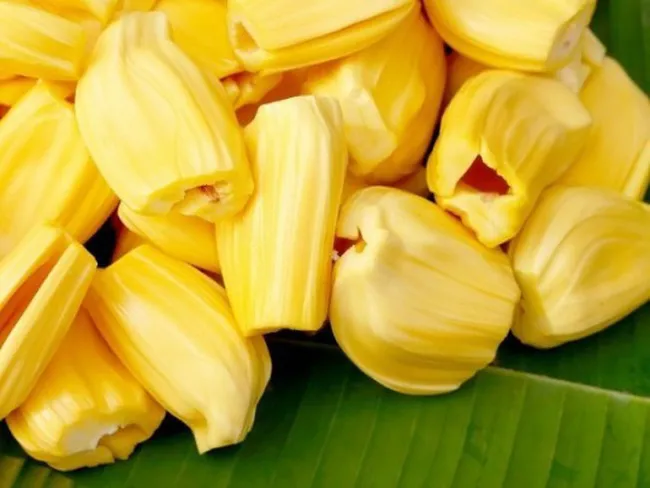 Mít - “Siêu thực phẩm” thay thế thịt trong tương lai - Ảnh 2. Mít - “Siêu thực phẩm” thay thế thịt trong tương lai - Ảnh 2.