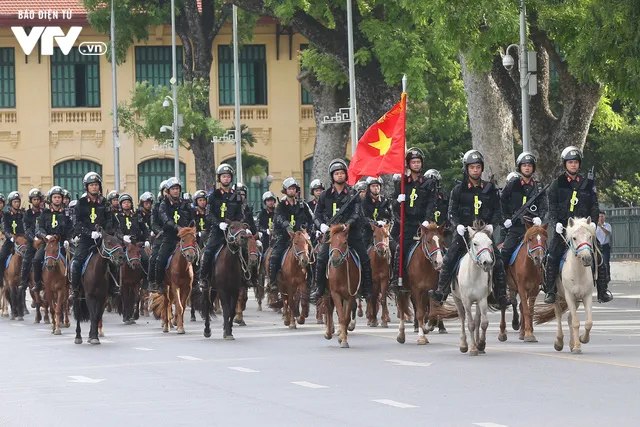 Đội tuấn mã của lực lượng Cảnh sát cơ động Kỵ binh: Nhỏ mà có võ - Ảnh 1. Đội tuấn mã của lực lượng Cảnh sát cơ động Kỵ binh: Nhỏ mà có võ - Ảnh 1.