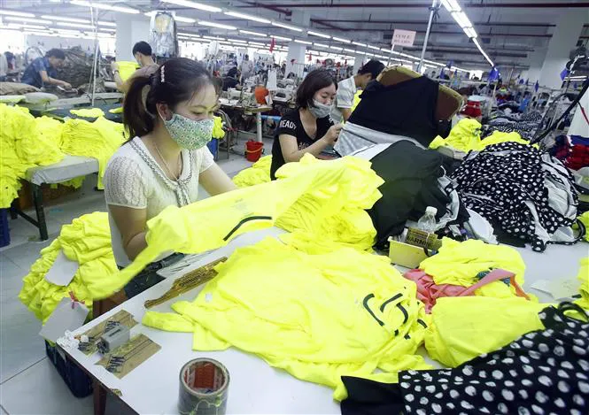 HSBC: Dệt may, da giày hưởng lợi nhiều nhất từ EVFTA - Ảnh 2. HSBC: Dệt may, da giày hưởng lợi nhiều nhất từ EVFTA - Ảnh 2.