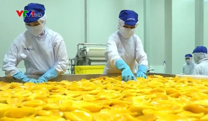 Đảm bảo quy tắc xuất xứ nông sản - “Chìa khóa” tận dụng EVFTA - Ảnh 1. Đảm bảo quy tắc xuất xứ nông sản - “Chìa khóa” tận dụng EVFTA - Ảnh 1.