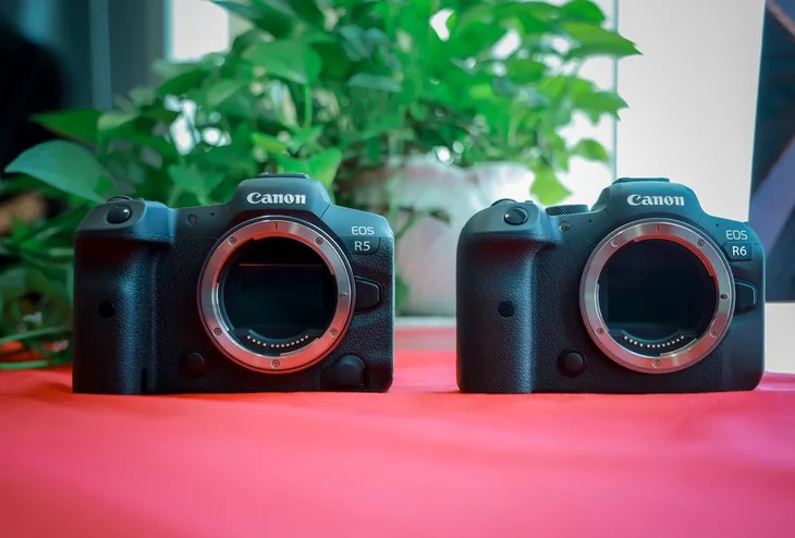 Ra mắt bộ đôi EOS R5 và EOS R6: Canh bạc tất tay của Canon trong thị trường máy ảnh mirrorless - Ảnh 3. Ra mắt bộ đôi EOS R5 và EOS R6: Canh bạc tất tay của Canon trong thị trường máy ảnh mirrorless - Ảnh 3.