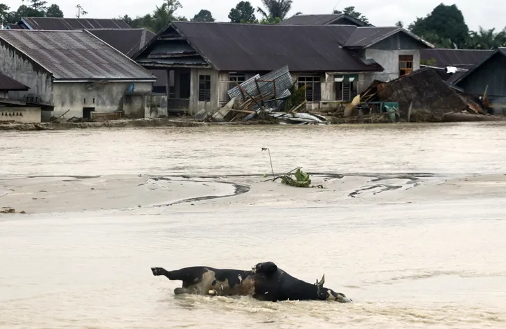 Lũ lụt gây thiệt hại nghiêm trọng tại Indonesia, ít nhất 36 người thiệt mạng - Ảnh 1. Lũ lụt gây thiệt hại nghiêm trọng tại Indonesia, ít nhất 36 người thiệt mạng - Ảnh 1.