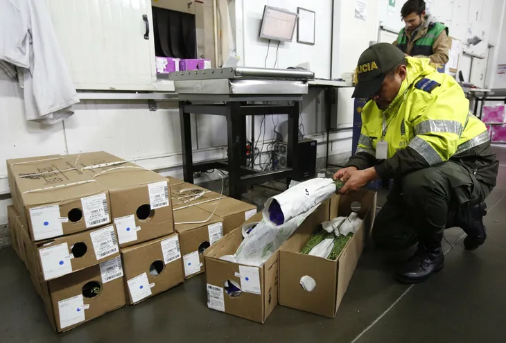 Thu giữ hơn 7,5 tấn cocaine trị giá hàng trăm triệu USD ở biên giới Mỹ - Colombia - Ảnh 1. Thu giữ hơn 7,5 tấn cocaine trị giá hàng trăm triệu USD ở biên giới Mỹ - Colombia - Ảnh 1.