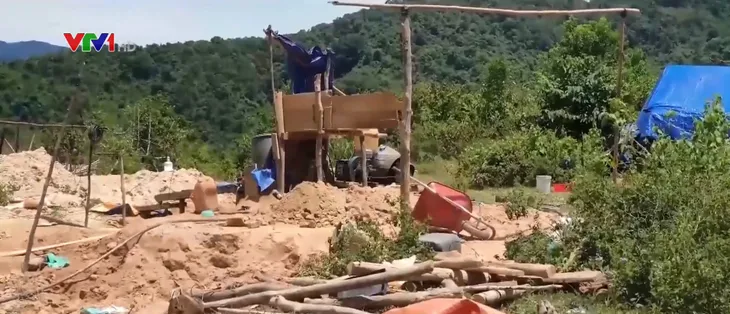 Thót tim xâm nhập vùng cấm địa vàng - Ảnh 1. Thót tim xâm nhập vùng cấm địa vàng - Ảnh 1.