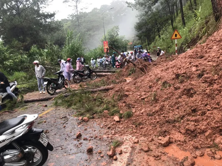 Mưa lớn gây sạt lở nghiêm trọng ở Đà Lạt, nhiều cây xanh bị quật ngã - Ảnh 2. Mưa lớn gây sạt lở nghiêm trọng ở Đà Lạt, nhiều cây xanh bị quật ngã - Ảnh 2.