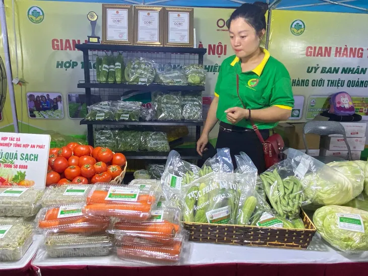 Tưng bừng khai mạc Sự kiện Giới thiệu quảng bá kết nối sản phẩm OCOP - Ảnh 3.