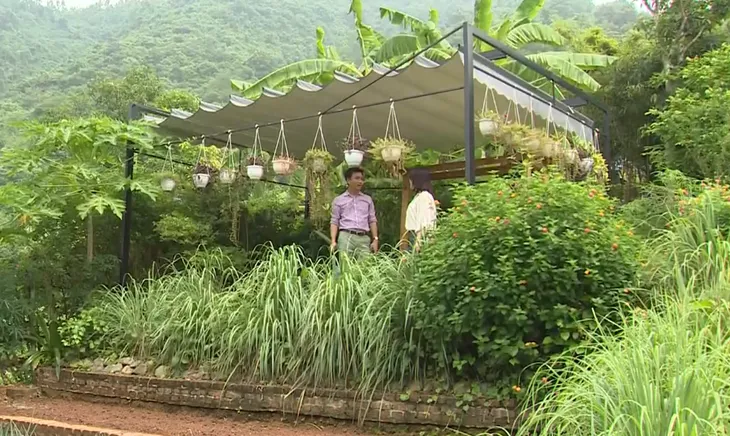 Mô hình Farmstay lộ nhiều “khoảng trống” pháp lý - Ảnh 2. Mô hình Farmstay lộ nhiều “khoảng trống” pháp lý - Ảnh 2.