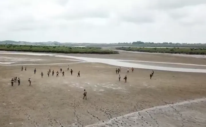 Trồng rừng ngập mặn: Chẳng thấy trang, đước đâu, chỉ toàn dấu chân người đi cào nghêu... - Ảnh 3. Trồng rừng ngập mặn: Chẳng thấy trang, đước đâu, chỉ toàn dấu chân người đi cào nghêu... - Ảnh 3.