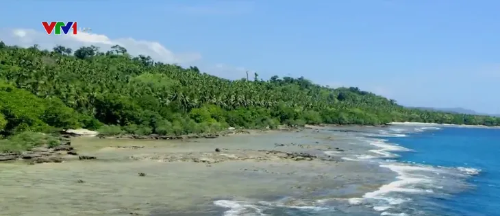 Trồng rừng ngập mặn: Chẳng thấy trang, đước đâu, chỉ toàn dấu chân người đi cào nghêu... - Ảnh 2. Trồng rừng ngập mặn: Chẳng thấy trang, đước đâu, chỉ toàn dấu chân người đi cào nghêu... - Ảnh 2.