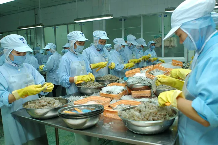 Kiến nghị tháo gỡ vướng mắc về thuế với thủy sản “chế biến” và “sơ chế” - Ảnh 1. Kiến nghị tháo gỡ vướng mắc về thuế với thủy sản “chế biến” và “sơ chế” - Ảnh 1.