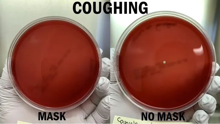 Khẩu trang vải hay khẩu trang y tế đều có khả năng chống virus - Ảnh 2. Khẩu trang vải hay khẩu trang y tế đều có khả năng chống virus - Ảnh 2.