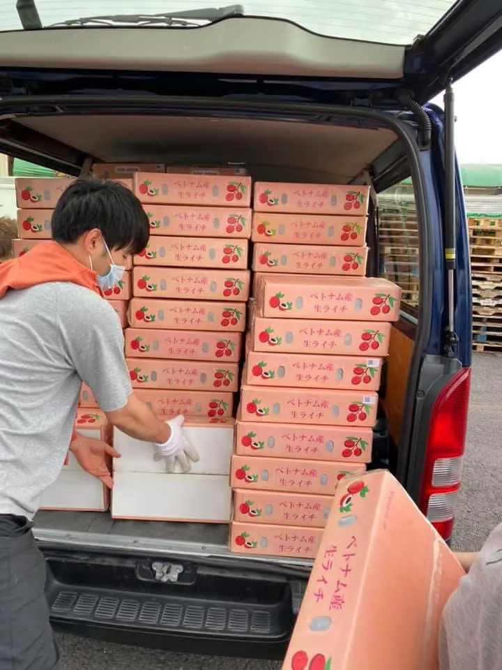 Vải thiều Việt vượt biển tới Nhật Bản, giá 200.000/kg - Ảnh 2. Vải thiều Việt vượt biển tới Nhật Bản, giá 200.000/kg - Ảnh 2.