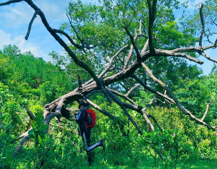 Chinh phục cung đường Tà Năng - Phan Dũng tuyệt đẹp với Hoa hậu Hằng Nguyễn - Ảnh 4.