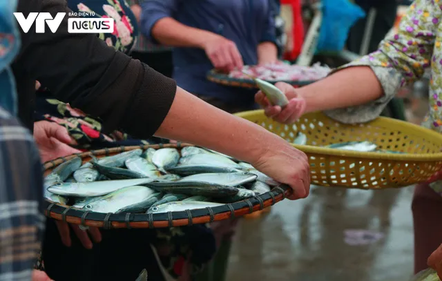 Cá nướng than hồng ngon khó quên của miền biển Cửa Lò - Ảnh 1. Cá nướng than hồng ngon khó quên của miền biển Cửa Lò - Ảnh 1.