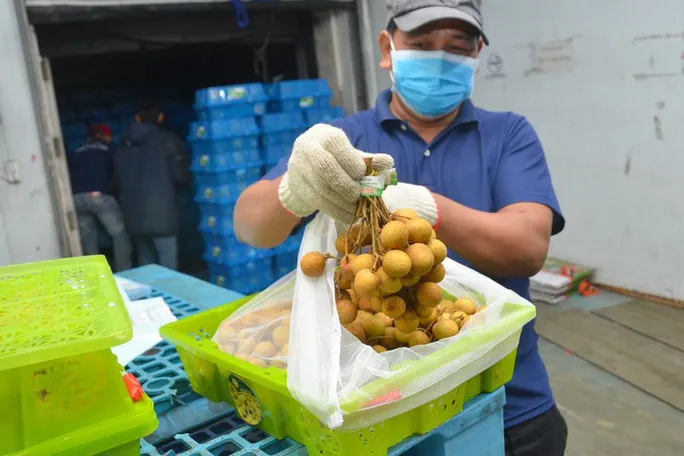 Tháo gỡ “nút thắt” cho xuất khẩu nông sản mùa dịch COVID-19 - Ảnh 2. Tháo gỡ “nút thắt” cho xuất khẩu nông sản mùa dịch COVID-19 - Ảnh 2.