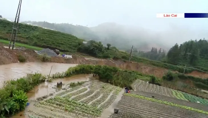 Mưa lũ diện rộng gây thiệt hại lớn cho nhiều địa phương - Ảnh 4. Mưa lũ diện rộng gây thiệt hại lớn cho nhiều địa phương - Ảnh 4.