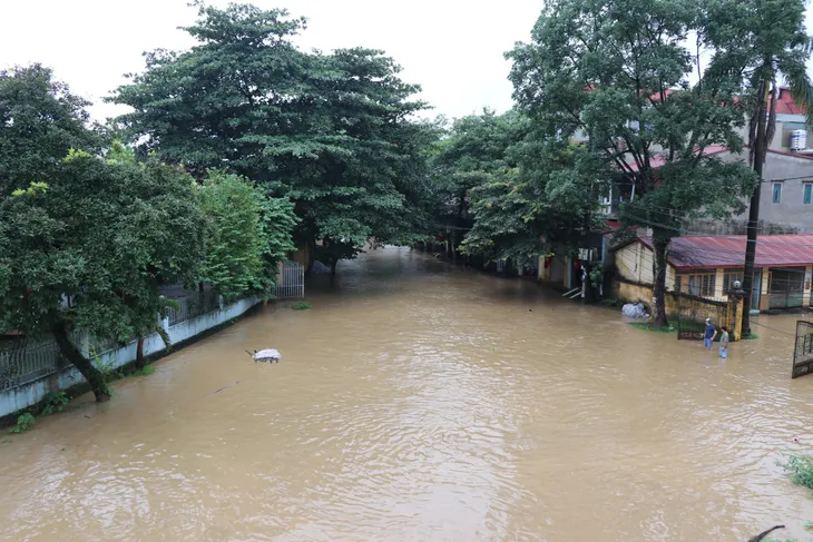 Mưa lớn gây ngập úng cục bộ tại Yên Bái - Ảnh 3. Mưa lớn gây ngập úng cục bộ tại Yên Bái - Ảnh 3.