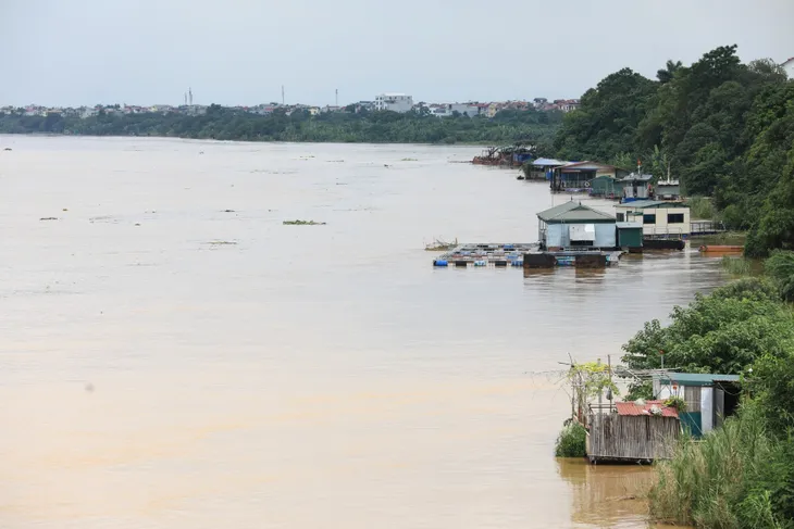 Mực nước sông Hồng lên nhanh, nguy cơ ngập lụt vùng trũng và bãi bồi - Ảnh 4. Mực nước sông Hồng lên nhanh, nguy cơ ngập lụt vùng trũng và bãi bồi - Ảnh 4.