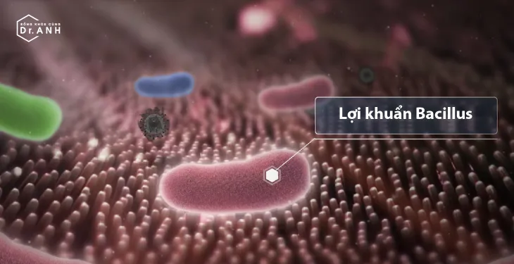 Lợi khuẩn có thực sự tốt như chúng ta nghĩ? - Ảnh 1. Lợi khuẩn có thực sự tốt như chúng ta nghĩ? - Ảnh 1.
