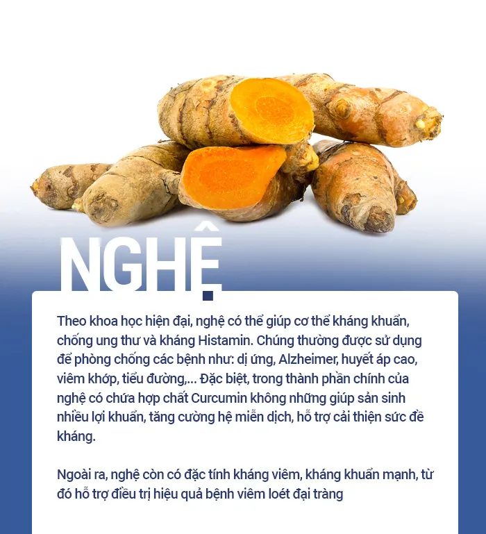 Người viêm đại tràng nên ăn gì để tăng sức đề kháng giữa mùa dịch? - Ảnh 3. Người viêm đại tràng nên ăn gì để tăng sức đề kháng giữa mùa dịch? - Ảnh 3.