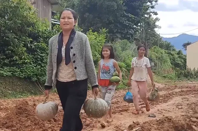 1 tháng dịch COVID-19 bùng phát tại Đà Nẵng và bài học liên kết - Ảnh 2. 1 tháng dịch COVID-19 bùng phát tại Đà Nẵng và bài học liên kết - Ảnh 2.