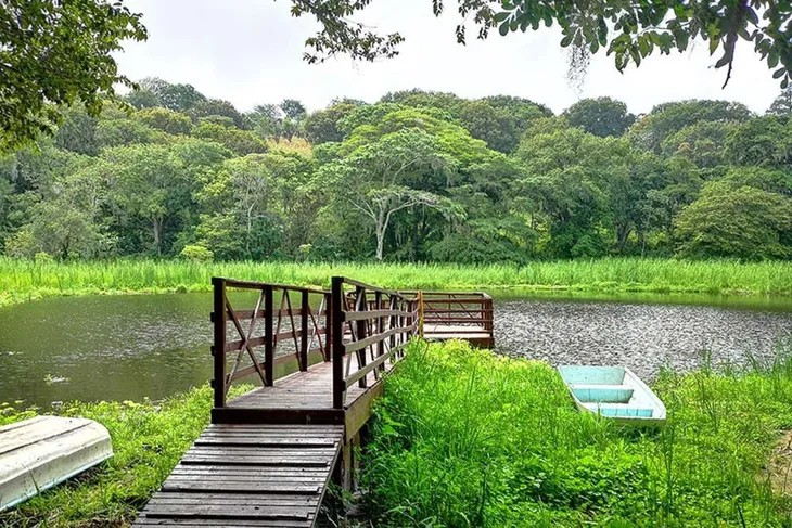 Đăk Nông, Việt Nam là 1 trong số các vườn địa chất toàn cầu mới nhất của UNESCO - Ảnh 1. Đăk Nông, Việt Nam là 1 trong số các vườn địa chất toàn cầu mới nhất của UNESCO - Ảnh 1.