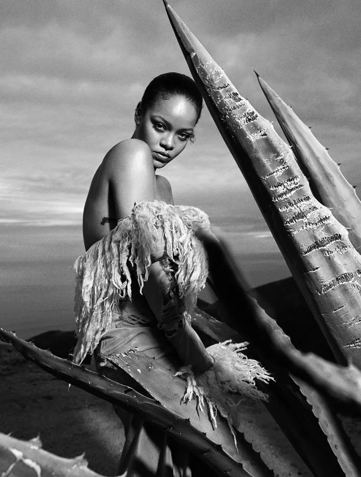 Rihanna siêu nóng bỏng trong bộ ảnh mới - Ảnh 3. Rihanna siêu nóng bỏng trong bộ ảnh mới - Ảnh 3.