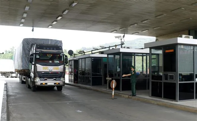 Bạn hàng Trung Quốc bất ngờ ngừng mua long nhãn Hưng Yên - Ảnh 2. Bạn hàng Trung Quốc bất ngờ ngừng mua long nhãn Hưng Yên - Ảnh 2.